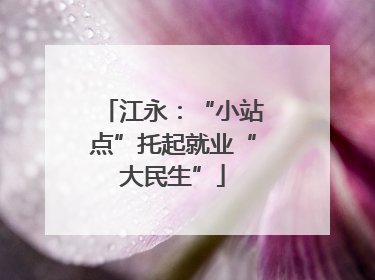 江永：“小站点”托起就业“大民生”