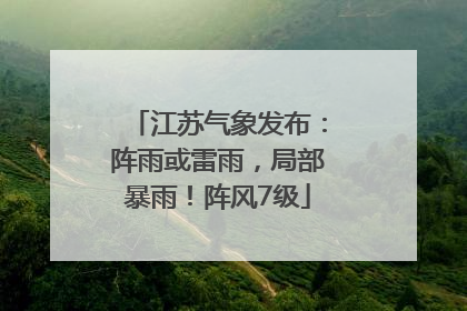 江苏气象发布：阵雨或雷雨，局部暴雨！阵风7级