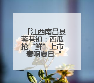江西南昌县蒋巷镇：西瓜抢“鲜”上市 奏响夏日“甜蜜曲”