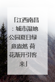 江西南昌：城市湿地公园夏日绿意盎然 荷花渐开引客来