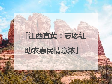 江西宜黄：志愿红助农惠民情意浓