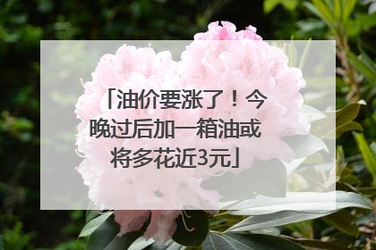 油价要涨了！今晚过后加一箱油或将多花近3元