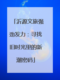 沂源文旅强劲发力：寻找旧时光里的新潮密码