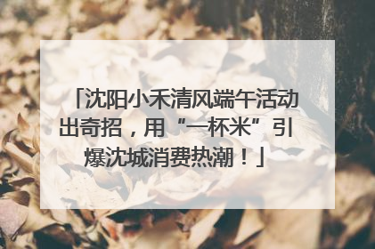 沈阳小禾清风端午活动出奇招，用“一杯米”引爆沈城消费热潮！