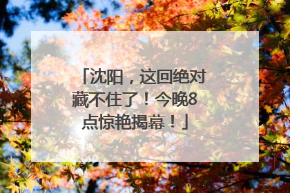 沈阳，这回绝对藏不住了！今晚8点惊艳揭幕！