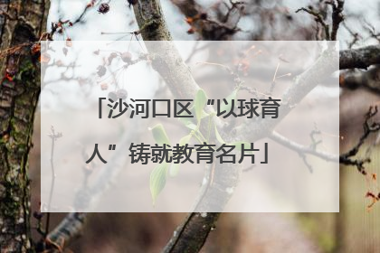 沙河口区“以球育人”铸就教育名片