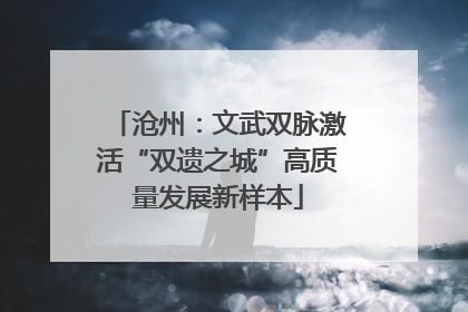 沧州：文武双脉激活“双遗之城”高质量发展新样本