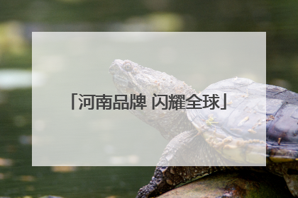 河南品牌 闪耀全球