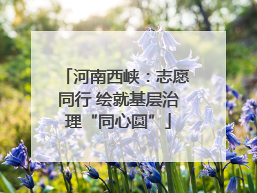 河南西峡：志愿同行 绘就基层治理“同心圆”