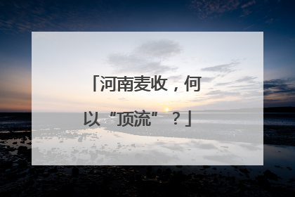河南麦收，何以“顶流”？