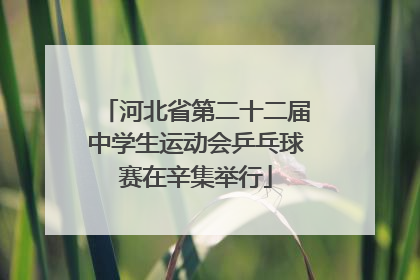 河北省第二十二届中学生运动会乒乓球赛在辛集举行