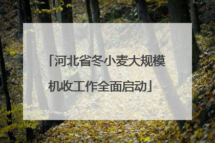 河北省冬小麦大规模机收工作全面启动