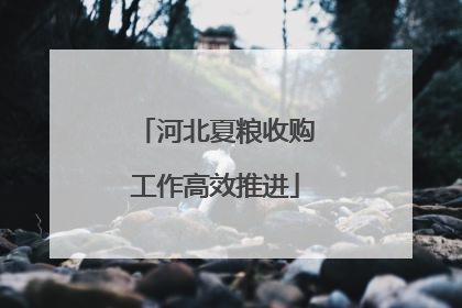 河北夏粮收购工作高效推进