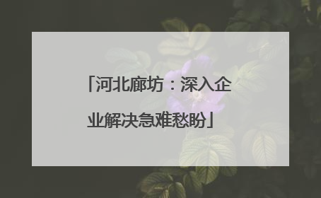 河北廊坊：深入企业解决急难愁盼