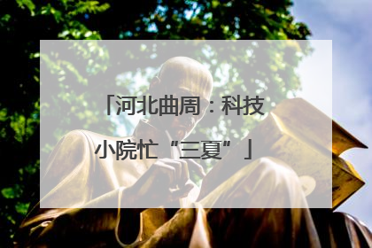 河北曲周：科技小院忙“三夏”