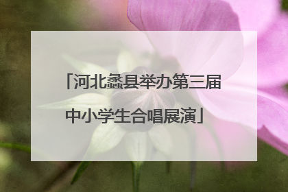 河北蠡县举办第三届中小学生合唱展演
