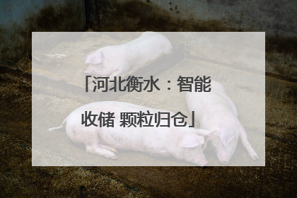 河北衡水：智能收储 颗粒归仓