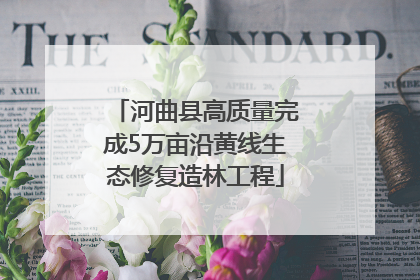 河曲县高质量完成5万亩沿黄线生态修复造林工程