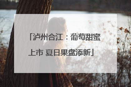 泸州合江：葡萄甜蜜上市 夏日果盘添新