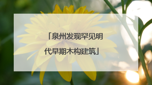 泉州发现罕见明代早期木构建筑
