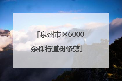 泉州市区6000余株行道树修剪