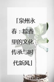 泉州永春：粽香里的文化传承与时代新风