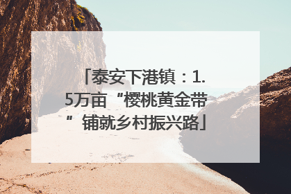 泰安下港镇：1.5万亩“樱桃黄金带”铺就乡村振兴路
