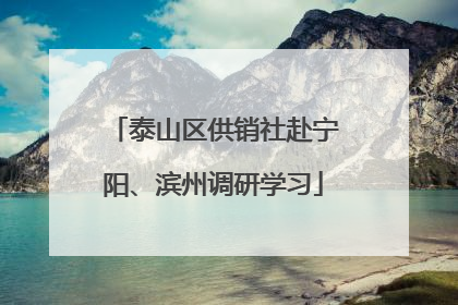 泰山区供销社赴宁阳、滨州调研学习