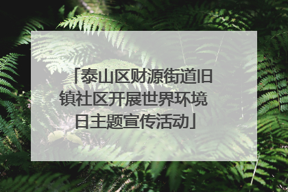 泰山区财源街道旧镇社区开展世界环境日主题宣传活动