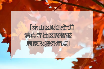 泰山区财源街道清真寺社区聚智破局家政服务痛点