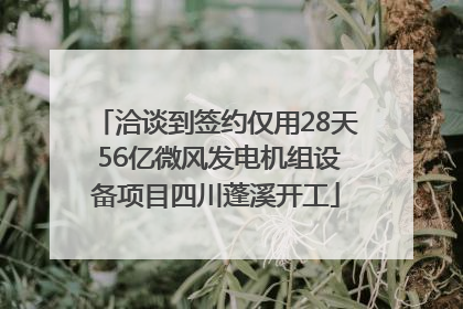 洽谈到签约仅用28天 56亿微风发电机组设备项目四川蓬溪开工