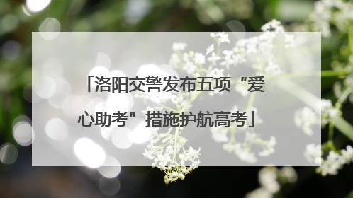 洛阳交警发布五项“爱心助考”措施护航高考