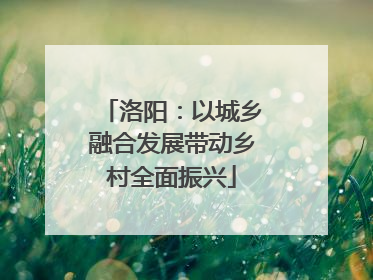 洛阳：以城乡融合发展带动乡村全面振兴