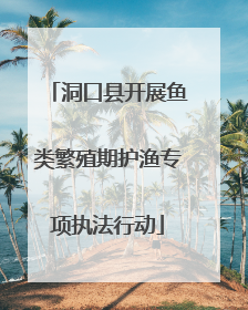 洞口县开展鱼类繁殖期护渔专项执法行动