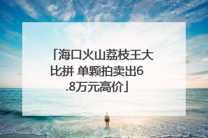 海口火山荔枝王大比拼 单颗拍卖出6.8万元高价