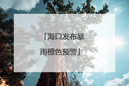 海口发布暴雨橙色预警