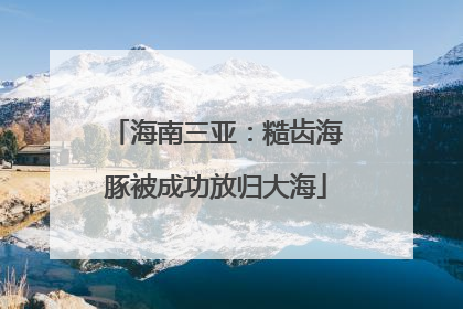海南三亚：糙齿海豚被成功放归大海