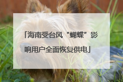 海南受台风“蝴蝶”影响用户全面恢复供电