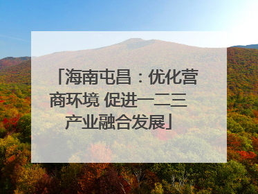 海南屯昌：优化营商环境 促进一二三产业融合发展