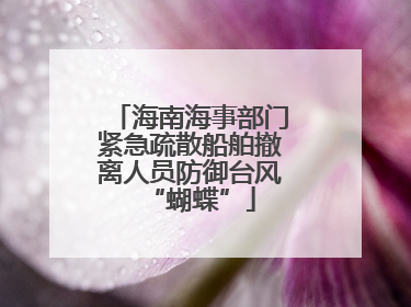 海南海事部门紧急疏散船舶撤离人员防御台风“蝴蝶”