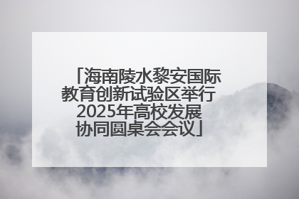 海南陵水黎安国际教育创新试验区举行2025年高校发展协同圆桌会会议