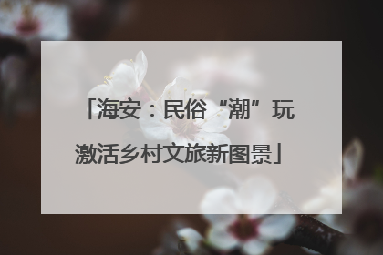 海安：民俗“潮”玩激活乡村文旅新图景