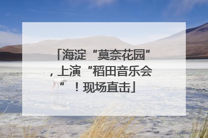 海淀“莫奈花园”，上演“稻田音乐会”！现场直击
