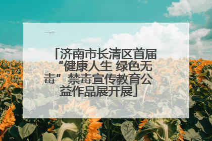 济南市长清区首届“健康人生 绿色无毒”禁毒宣传教育公益作品展开展
