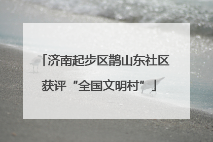 济南起步区鹊山东社区获评“全国文明村”