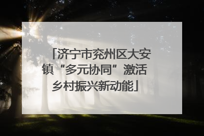 济宁市兖州区大安镇“多元协同”激活乡村振兴新动能