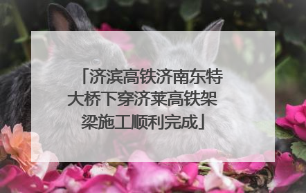 济滨高铁济南东特大桥下穿济莱高铁架梁施工顺利完成