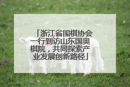 浙江省围棋协会一行到访山东国奥棋院，共同探索产业发展创新路径