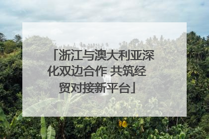浙江与澳大利亚深化双边合作 共筑经贸对接新平台