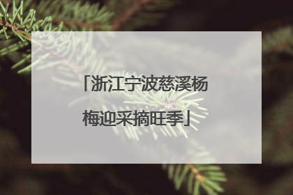 浙江宁波慈溪杨梅迎采摘旺季